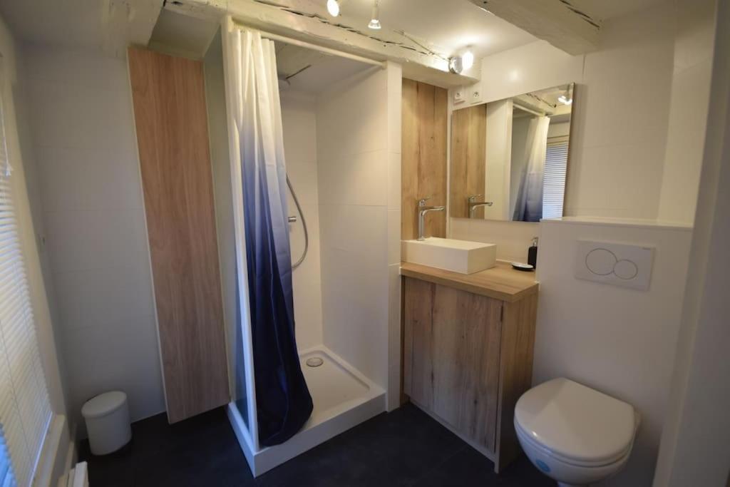 Le Studio Du Quai Des Pecheurs - Charmant Duplex Sur Les Quais Strasbourg Kültér fotó
