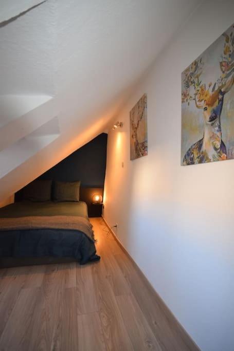 Le Studio Du Quai Des Pecheurs - Charmant Duplex Sur Les Quais Strasbourg Kültér fotó