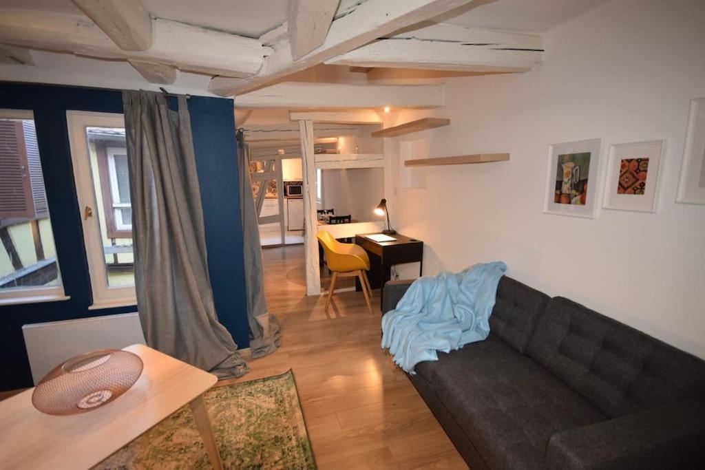 Le Studio Du Quai Des Pecheurs - Charmant Duplex Sur Les Quais Strasbourg Kültér fotó
