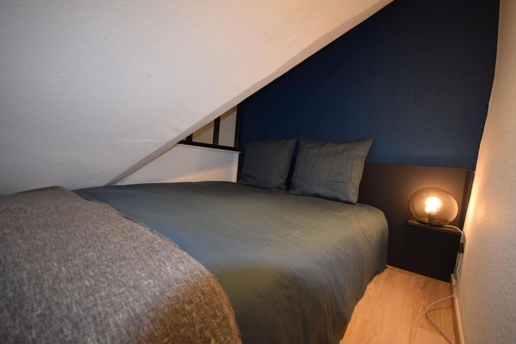 Le Studio Du Quai Des Pecheurs - Charmant Duplex Sur Les Quais Strasbourg Kültér fotó